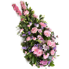 Lilac &amp; Pink Single Ended Spray