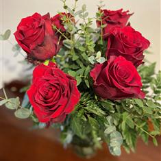 6 Red Roses