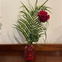 Single Red rose in a vase