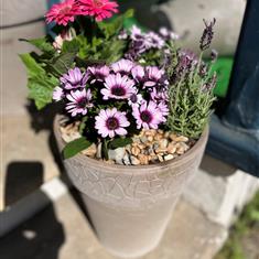 Summer planter