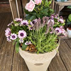 Mixed summer planter